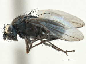  ( - CCDB-21403-F12)  @11 [ ] CreativeCommons - Attribution (2014) CBG Photography Group Centre for Biodiversity Genomics