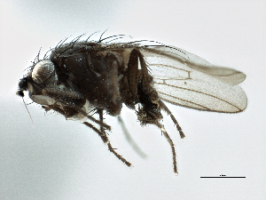  ( - CCDB-21403-G11)  @11 [ ] CreativeCommons - Attribution (2014) CBG Photography Group Centre for Biodiversity Genomics