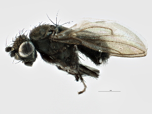  ( - CCDB-21403-H02)  @11 [ ] CreativeCommons - Attribution (2014) CBG Photography Group Centre for Biodiversity Genomics