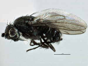  ( - CCDB-21403-H04)  @11 [ ] CreativeCommons - Attribution (2014) CBG Photography Group Centre for Biodiversity Genomics