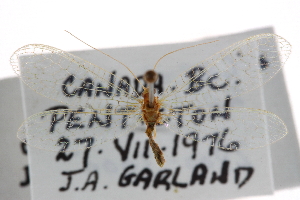  ( - CCDB-21416-B05)  @11 [ ] CreativeCommons - Attribution (2014) CBG Photography Group Centre for Biodiversity Genomics