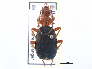  ( - CCDB-21430-D12)  @13 [ ] CreativeCommons - Attribution (2014) CBG Photography Group Centre for Biodiversity Genomics