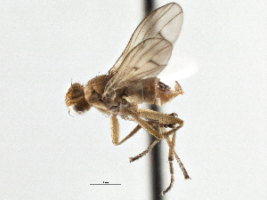  ( - CCDB-21320-C02)  @11 [ ] CreativeCommons - Attribution (2014) CBG Photography Group Centre for Biodiversity Genomics
