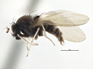  ( - CCDB-21323-F12)  @11 [ ] CreativeCommons - Attribution (2014) CBG Photography Group Centre for Biodiversity Genomics