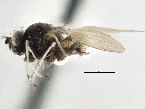  ( - CCDB-21323-G03)  @11 [ ] CreativeCommons - Attribution (2014) CBG Photography Group Centre for Biodiversity Genomics