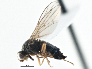  ( - CCDB-21325-E11)  @14 [ ] CreativeCommons - Attribution (2014) CBG Photography Group Centre for Biodiversity Genomics