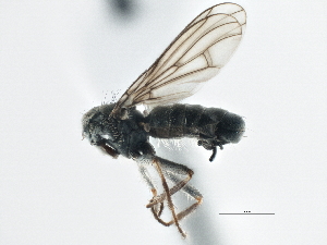  ( - CCDB-21325-F07)  @12 [ ] CreativeCommons - Attribution (2014) CBG Photography Group Centre for Biodiversity Genomics