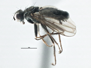  ( - CCDB-21325-F09)  @13 [ ] CreativeCommons - Attribution (2014) CBG Photography Group Centre for Biodiversity Genomics