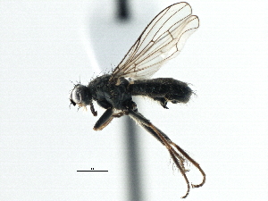  ( - CCDB-21325-F11)  @13 [ ] CreativeCommons - Attribution (2014) CBG Photography Group Centre for Biodiversity Genomics
