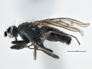  ( - CCDB-21325-G01)  @13 [ ] CreativeCommons - Attribution (2014) CBG Photography Group Centre for Biodiversity Genomics