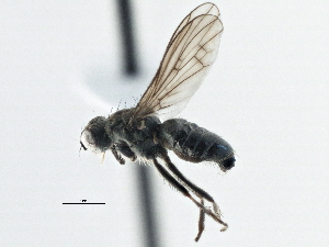 ( - CCDB-21325-G02)  @14 [ ] CreativeCommons - Attribution (2014) CBG Photography Group Centre for Biodiversity Genomics