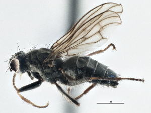  ( - CCDB-21325-G03)  @14 [ ] CreativeCommons - Attribution (2014) CBG Photography Group Centre for Biodiversity Genomics