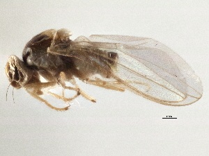  ( - CCDB-21327-A02)  @11 [ ] CreativeCommons - Attribution (2014) CBG Photography Group Centre for Biodiversity Genomics