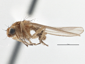  ( - CCDB-21327-F07)  @13 [ ] CreativeCommons - Attribution (2014) CBG Photography Group Centre for Biodiversity Genomics