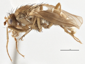  ( - CCDB-21327-G10)  @14 [ ] CreativeCommons - Attribution (2014) CBG Photography Group Centre for Biodiversity Genomics