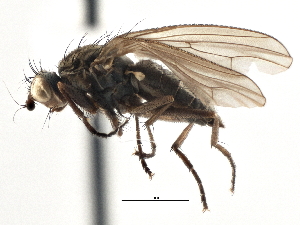  ( - CCDB-21327-H09)  @11 [ ] CreativeCommons - Attribution (2014) CBG Photography Group Centre for Biodiversity Genomics