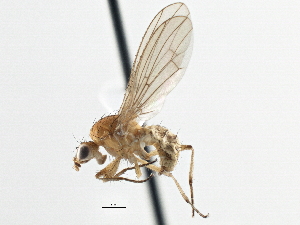  ( - CCDB-21401-B03)  @14 [ ] CreativeCommons - Attribution (2014) CBG Photography Group Centre for Biodiversity Genomics