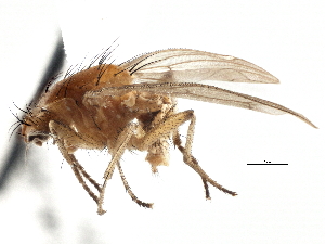  ( - CCDB-21401-B05)  @14 [ ] CreativeCommons - Attribution (2014) CBG Photography Group Centre for Biodiversity Genomics
