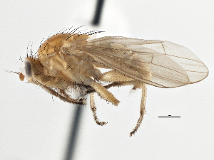  ( - CCDB-21401-B06)  @14 [ ] CreativeCommons - Attribution (2014) CBG Photography Group Centre for Biodiversity Genomics