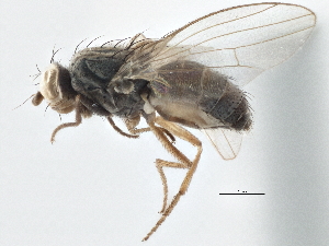  ( - CCDB-21401-D08)  @11 [ ] CreativeCommons - Attribution (2014) CBG Photography Group Centre for Biodiversity Genomics
