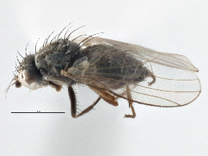  ( - CCDB-21401-D10)  @11 [ ] CreativeCommons - Attribution (2014) CBG Photography Group Centre for Biodiversity Genomics