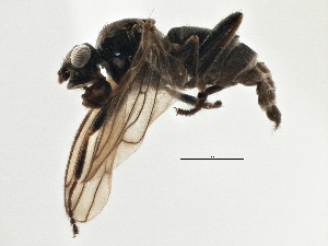 ( - CCDB-21401-F06)  @11 [ ] CreativeCommons - Attribution (2014) CBG Photography Group Centre for Biodiversity Genomics