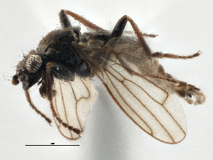  ( - CCDB-21401-F07)  @11 [ ] CreativeCommons - Attribution (2014) CBG Photography Group Centre for Biodiversity Genomics
