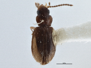  ( - CCDB-21404-F09)  @11 [ ] CreativeCommons - Attribution (2014) CBG Photography Group Centre for Biodiversity Genomics