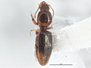  ( - CCDB-21406-G10)  @11 [ ] CreativeCommons - Attribution (2014) CBG Photography Group Centre for Biodiversity Genomics