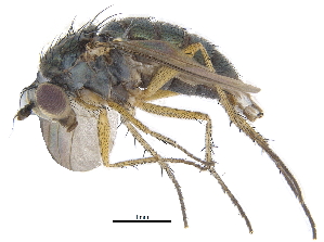  ( - CCDB-23303-B10)  @11 [ ] CreativeCommons - Attribution (2015) CBG Photography Group Centre for Biodiversity Genomics