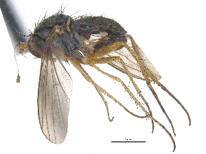  ( - CCDB-23303-C10)  @11 [ ] CreativeCommons - Attribution (2015) CBG Photography Group Centre for Biodiversity Genomics
