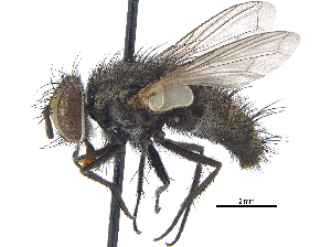  ( - CCDB-23506-D11)  @13 [ ] CreativeCommons - Attribution (2015) CBG Photography Group Centre for Biodiversity Genomics
