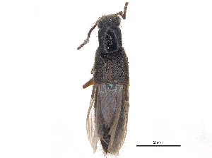  ( - CCDB-23508-F09)  @11 [ ] CreativeCommons - Attribution (2015) CBG Photography Group Centre for Biodiversity Genomics