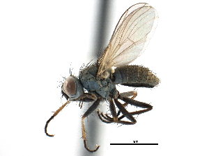  ( - CCDB-23518-E04)  @11 [ ] CreativeCommons - Attribution (2015) CBG Photography Group Centre for Biodiversity Genomics