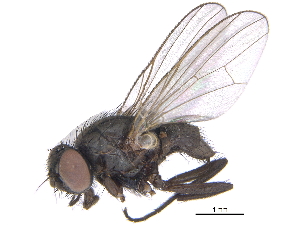  ( - CCDB-23519-A08)  @14 [ ] CreativeCommons - Attribution (2015) CBG Photography Group Centre for Biodiversity Genomics