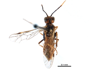  ( - CCDB-28947-B05)  @11 [ ] CreativeCommons - Attribution (2015) CBG Photography Group Centre for Biodiversity Genomics