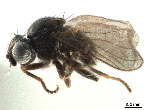  ( - CCDB-33858-B04)  @14 [ ] CreativeCommons - Attribution (2019) CBG Photography Group Centre for Biodiversity Genomics