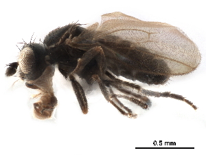  ( - CCDB-33859-F07)  @11 [ ] CreativeCommons - Attribution (2019) CBG Photography Group Centre for Biodiversity Genomics