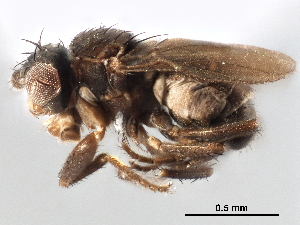  ( - CCDB-33859-G02)  @11 [ ] CreativeCommons - Attribution (2019) CBG Photography Group Centre for Biodiversity Genomics