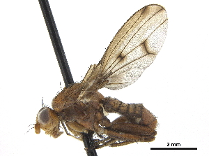  ( - CCDB-33860-B03)  @11 [ ] CreativeCommons - Attribution (2019) CBG Photography Group Centre for Biodiversity Genomics