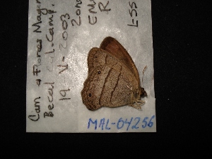  ( - MAL-04256)  @12 [ ] Unspecified (default): All Rights Reserved  Unspecified Unspecified