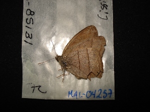  ( - MAL-04257)  @12 [ ] Unspecified (default): All Rights Reserved  Unspecified Unspecified