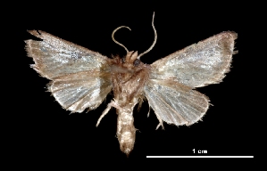  ( - MAL-01941)  @13 [ ] Unspecified (default): All Rights Reserved  Unspecified Unspecified