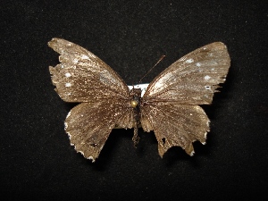  ( - MAL-02533)  @11 [ ] Unspecified (default): All Rights Reserved  Unspecified Unspecified