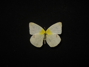  ( - MAL-02246)  @13 [ ] Unspecified (default): All Rights Reserved  Unspecified Unspecified