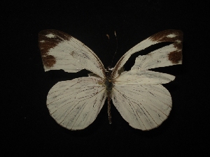  ( - MAL-02309)  @13 [ ] Unspecified (default): All Rights Reserved  Unspecified Unspecified