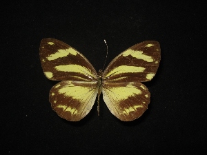  ( - MAL-02310)  @14 [ ] Unspecified (default): All Rights Reserved  Unspecified Unspecified