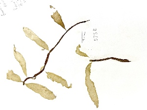  ( - GWS005758)  @11 [ ] Unspecified (default): All Rights Reserved  Unspecified Unspecified