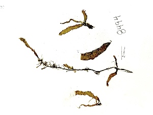  ( - GWS008494)  @11 [ ] Unspecified (default): All Rights Reserved  Unspecified Unspecified