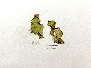  ( - GWS008601)  @11 [ ] Unspecified (default): All Rights Reserved  Unspecified Unspecified